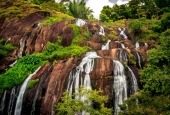 IIP Online Student Photography
